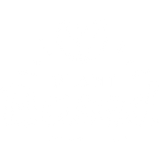 Plant Based